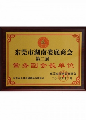 湖南婁底商會會員證
